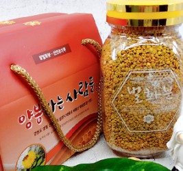 가을건조화분 500g